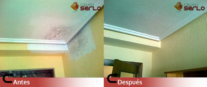 Pintado de techo y paredes